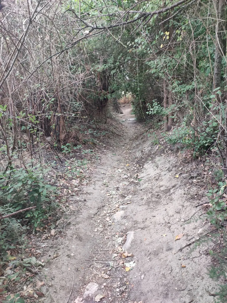 A cruzar el río por la senda